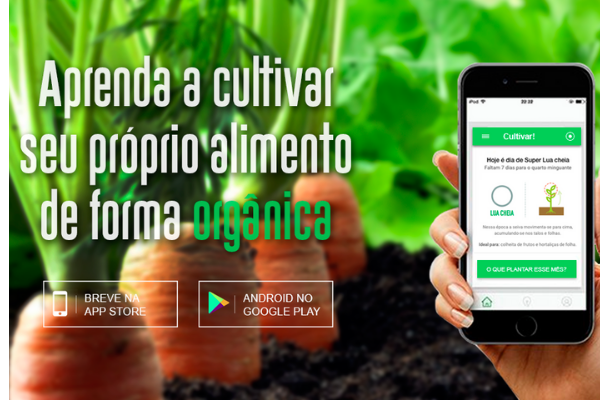 Conheça os melhores aplicativo para jardinagem