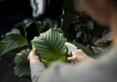 Objetos como plantas