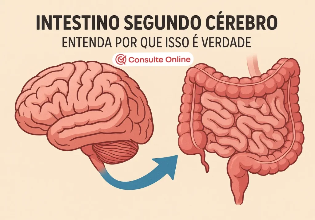 Intestino segundo cérebro: entenda por que isso é verdade - Consulte Online